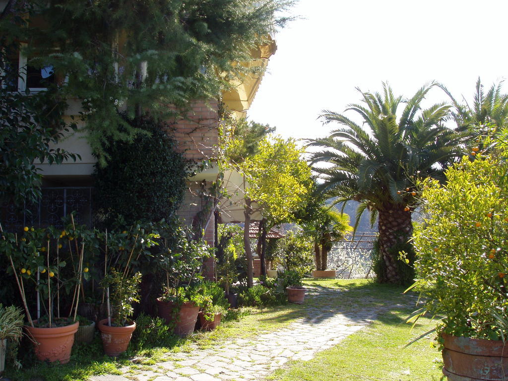 La Chandelle Massarosa Dış mekan fotoğraf
