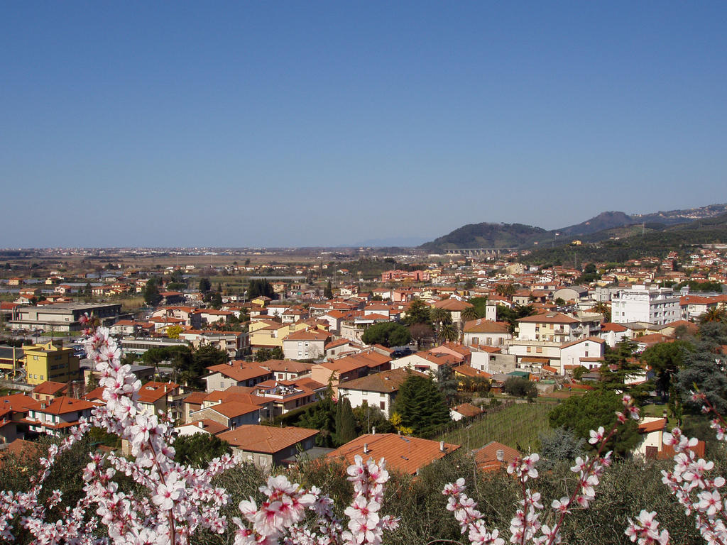 La Chandelle Massarosa Dış mekan fotoğraf